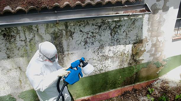 Top rated local Mold Inspection specialists in Arlington, GA